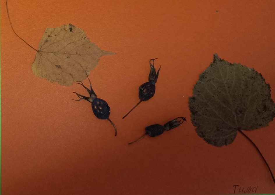 "Цветок из осенних листьев и плодов"