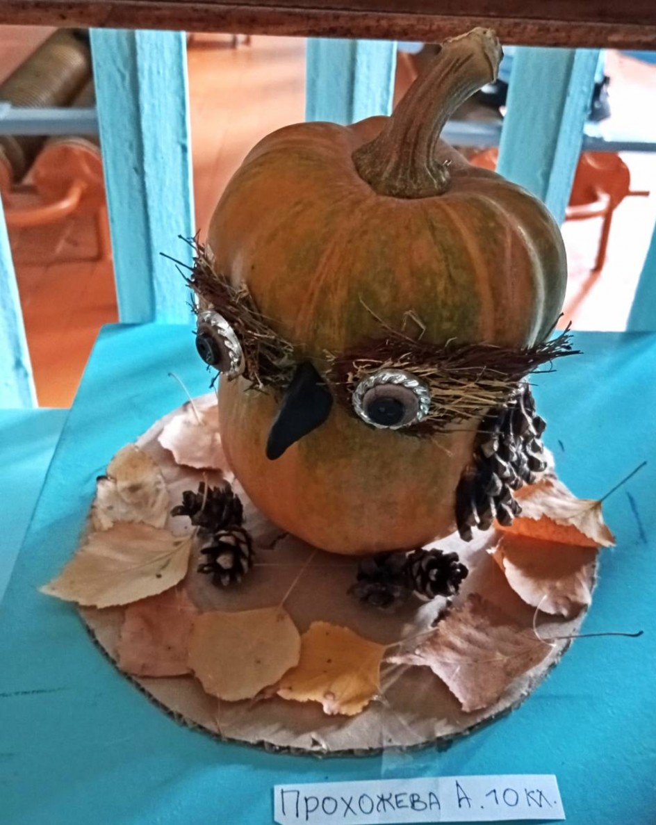 "Совушка-умная головушка"