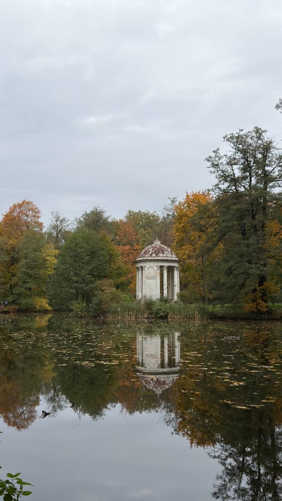 Беседка на пруду