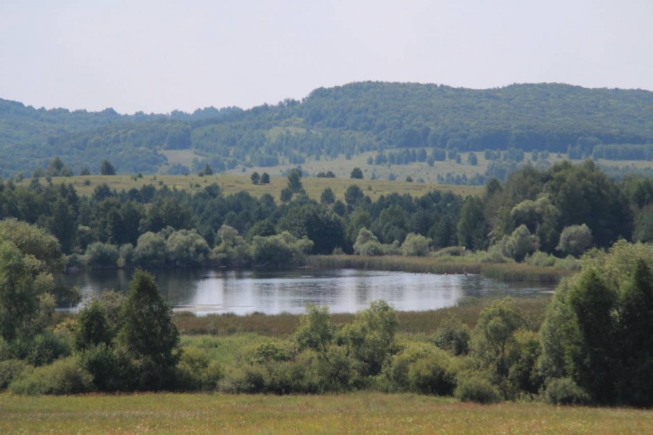 Пруд в лесу Лоховская дача