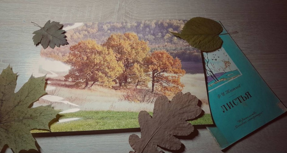 Осенние листья на столе