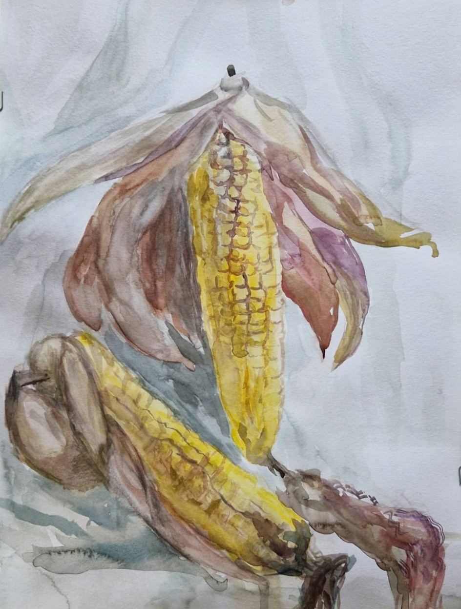 Красавица из поля