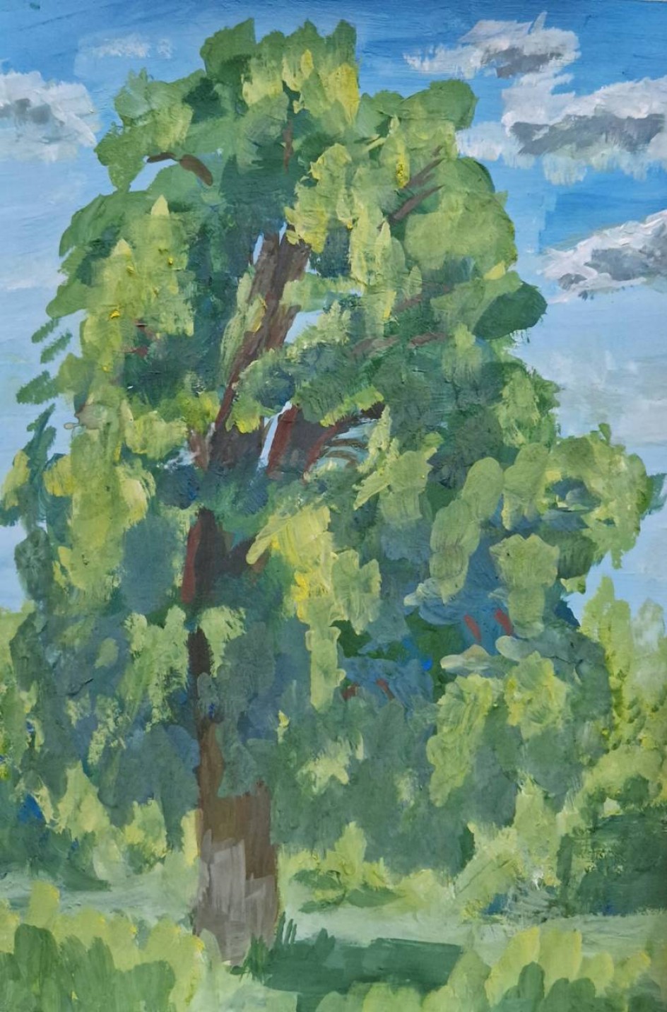 Старый тополь в летний зной