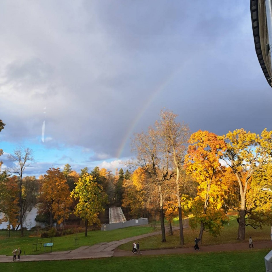 Золотая осень