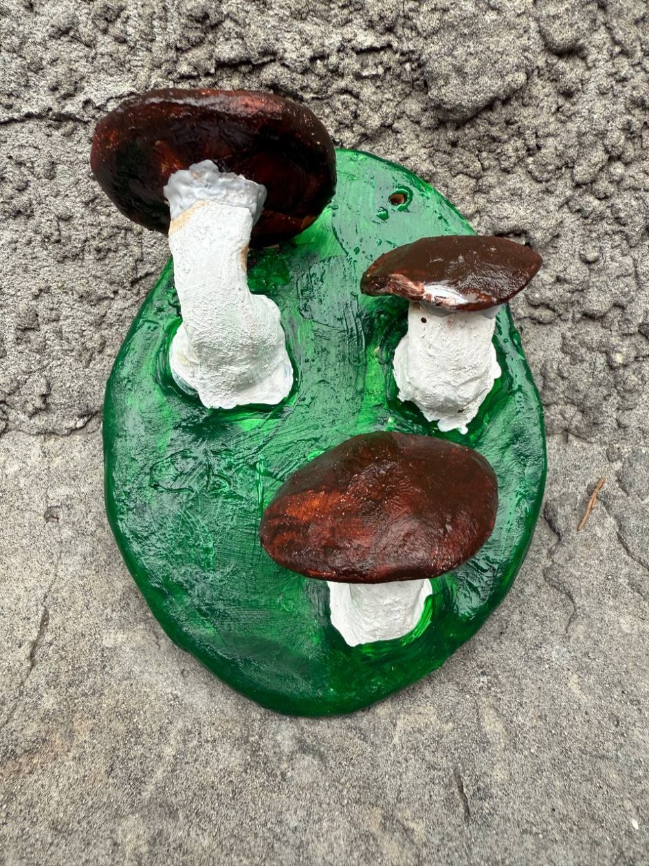 Поляна с грибами