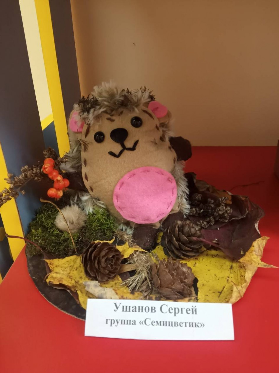 "Веселый ежик"