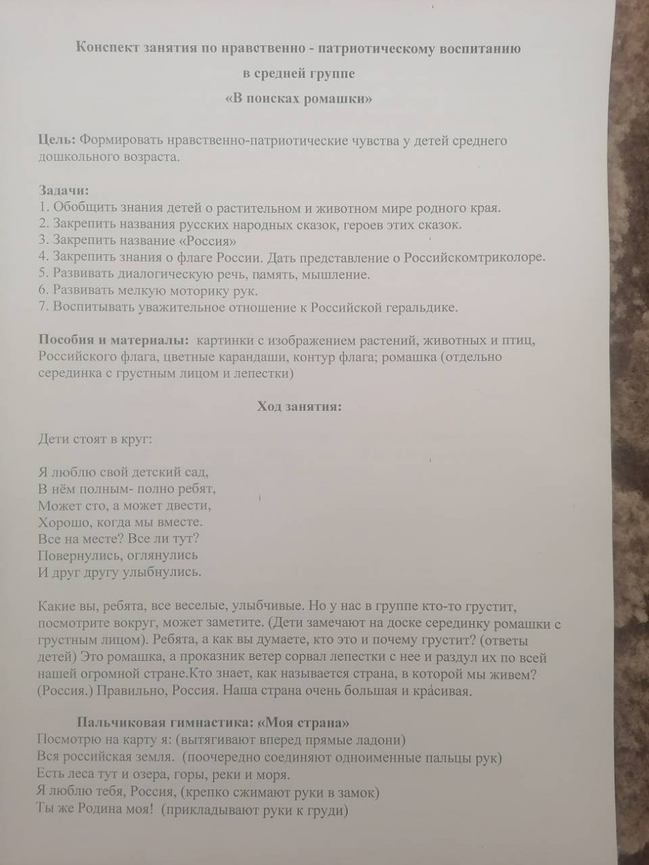 "В поисках ромашки"