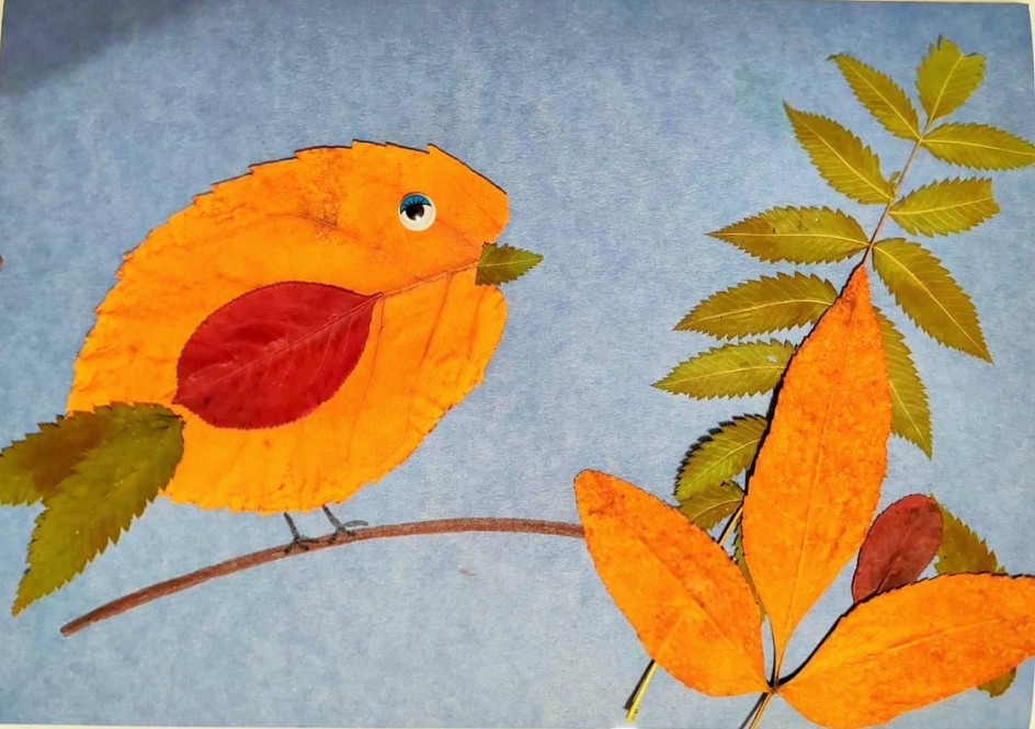 Гребёночек под листочком и Красное крылышко!