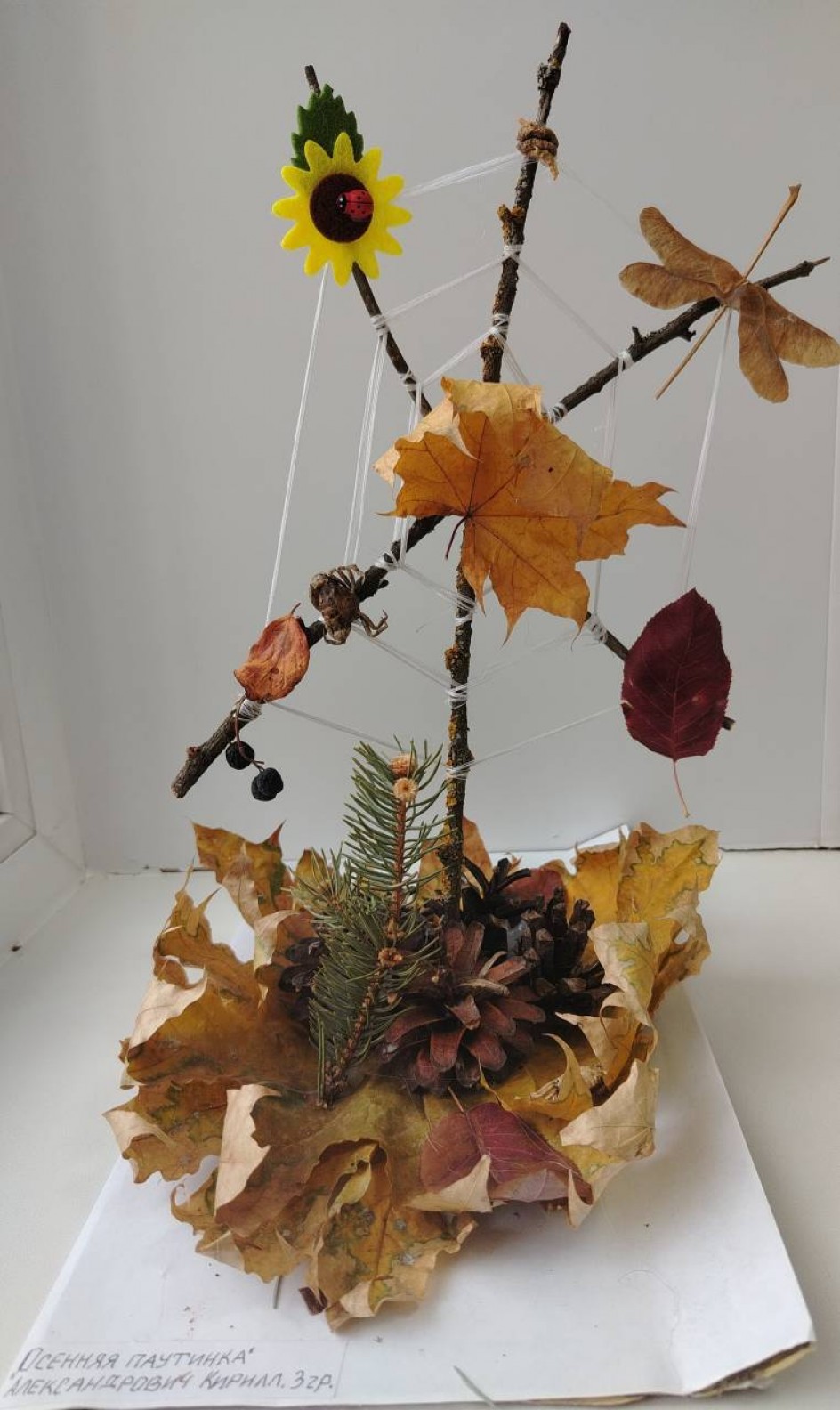 "Осенняя паутина""