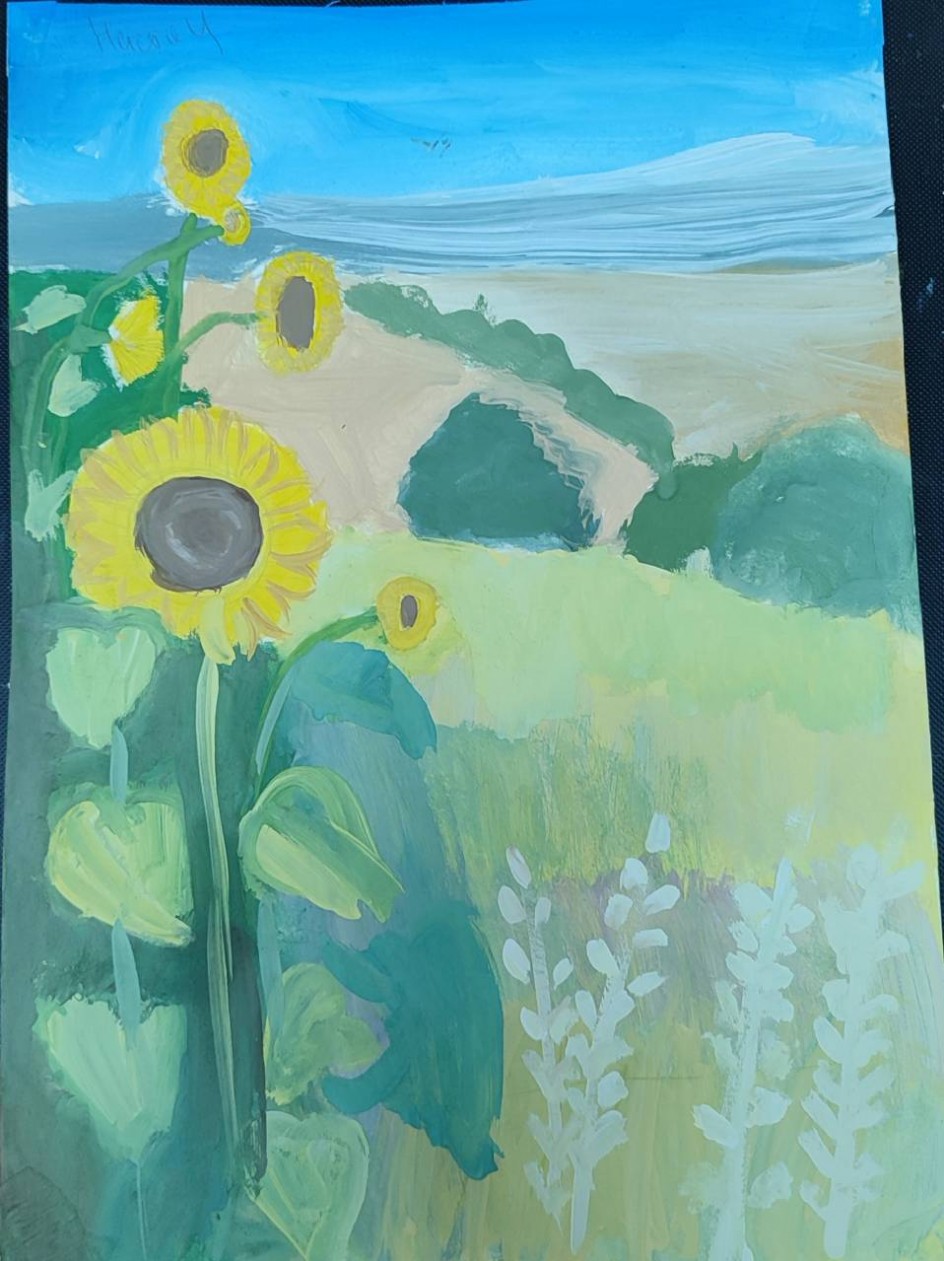 Подсолнухи у поля