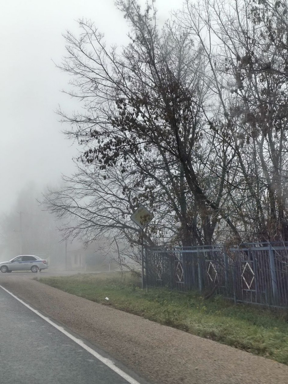 Утро туманное