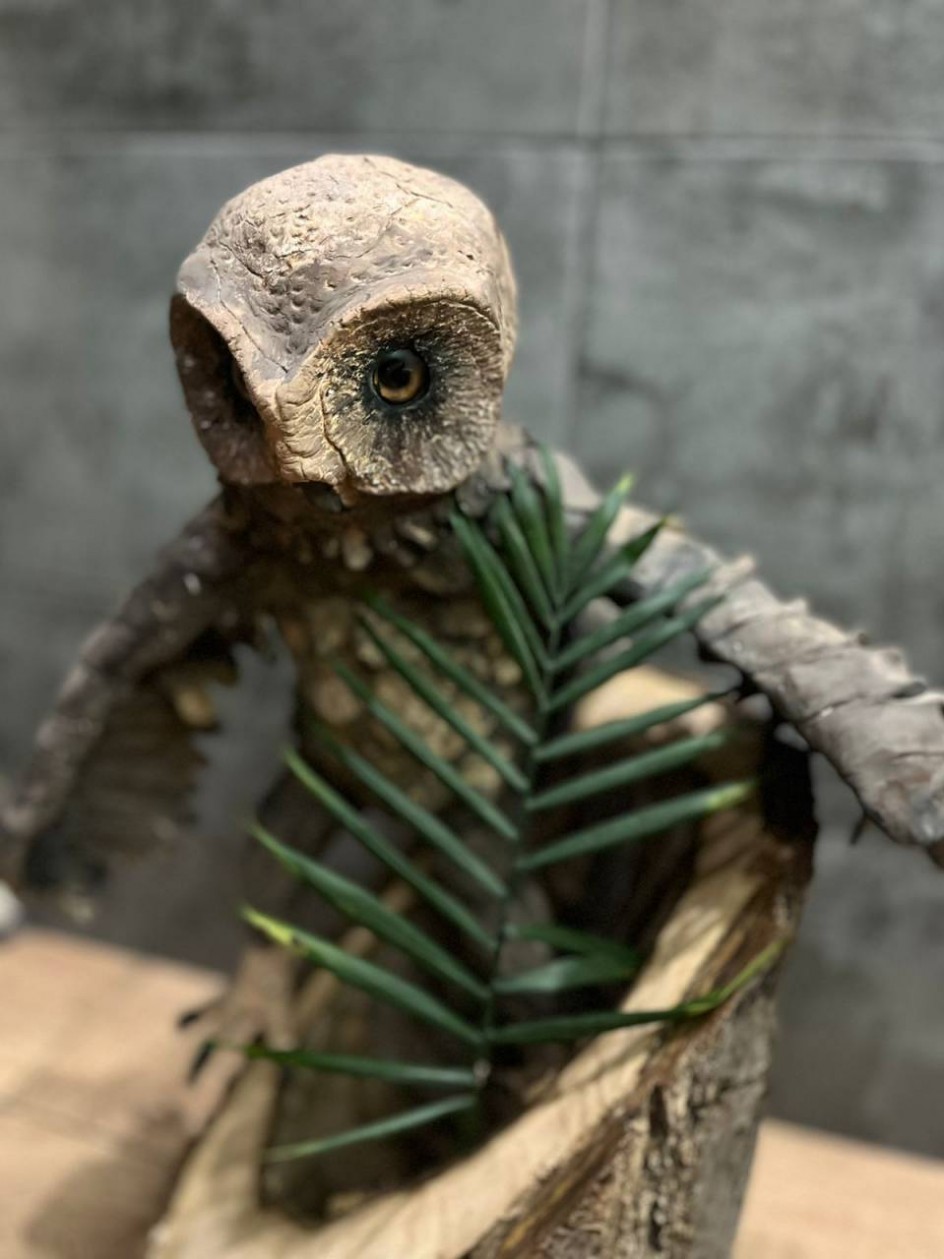 Сипухе не до сна