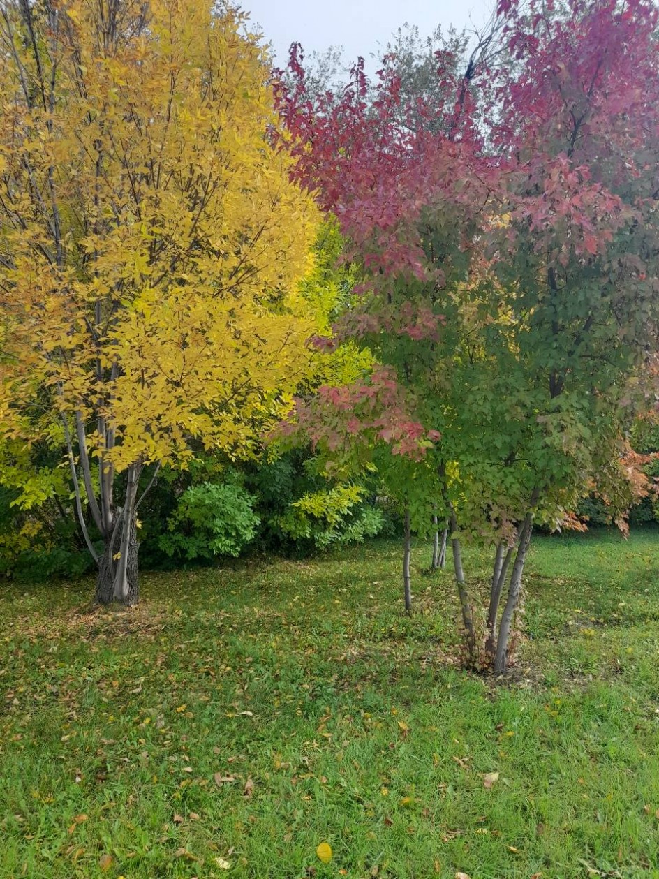 "Осенний вайб"