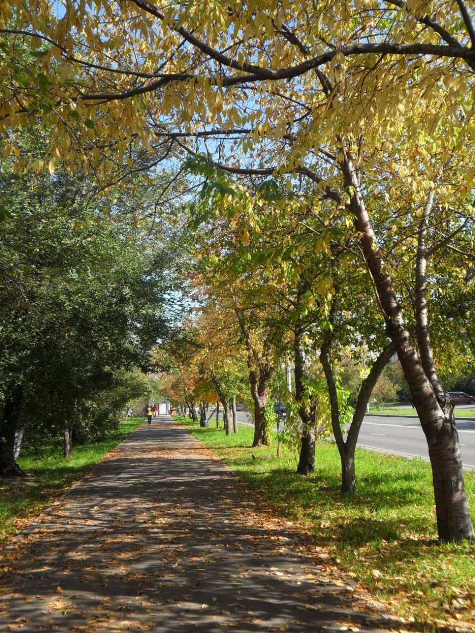 Осень в фокусе