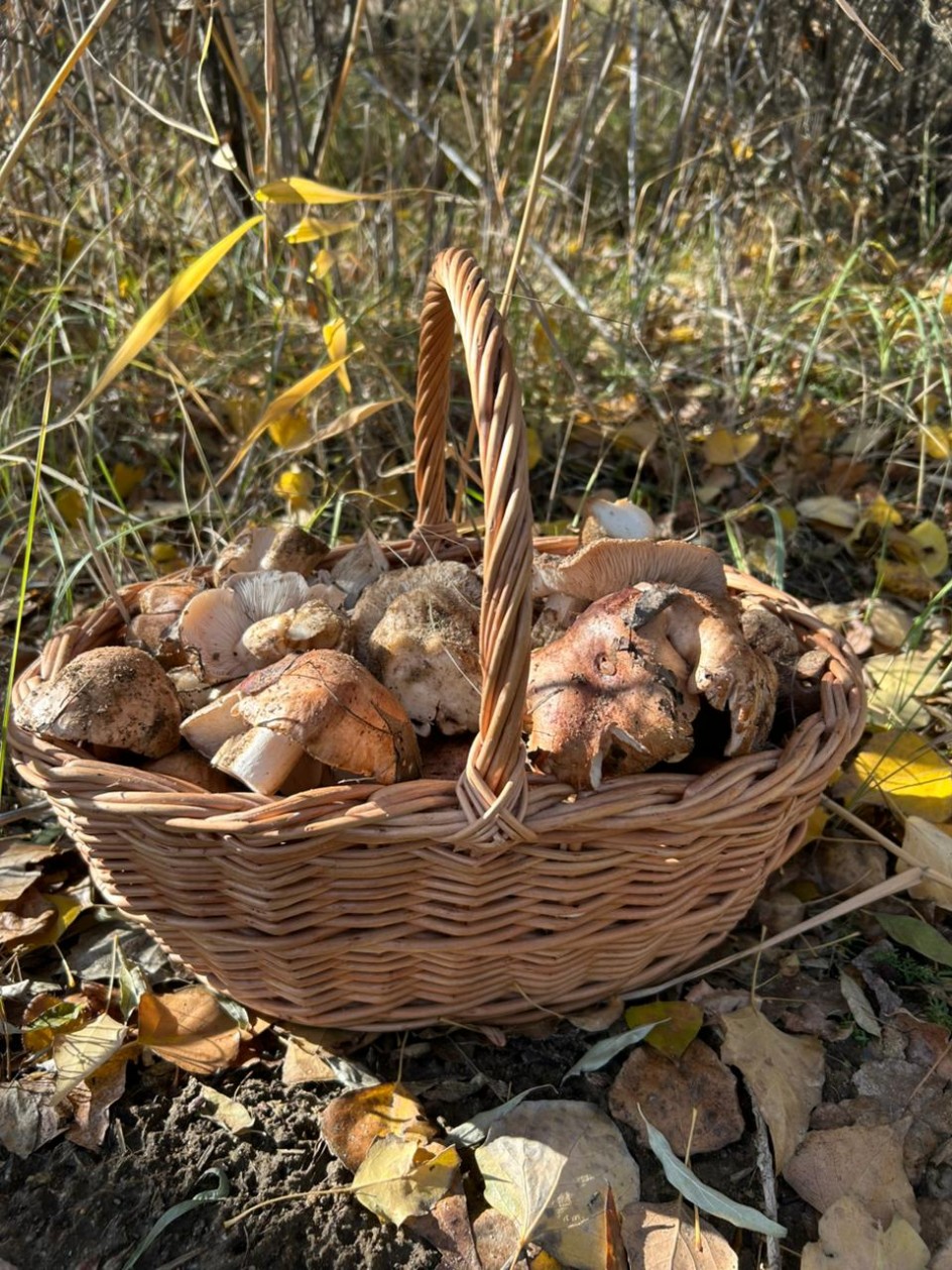 "Волшебство свое дарит природа"