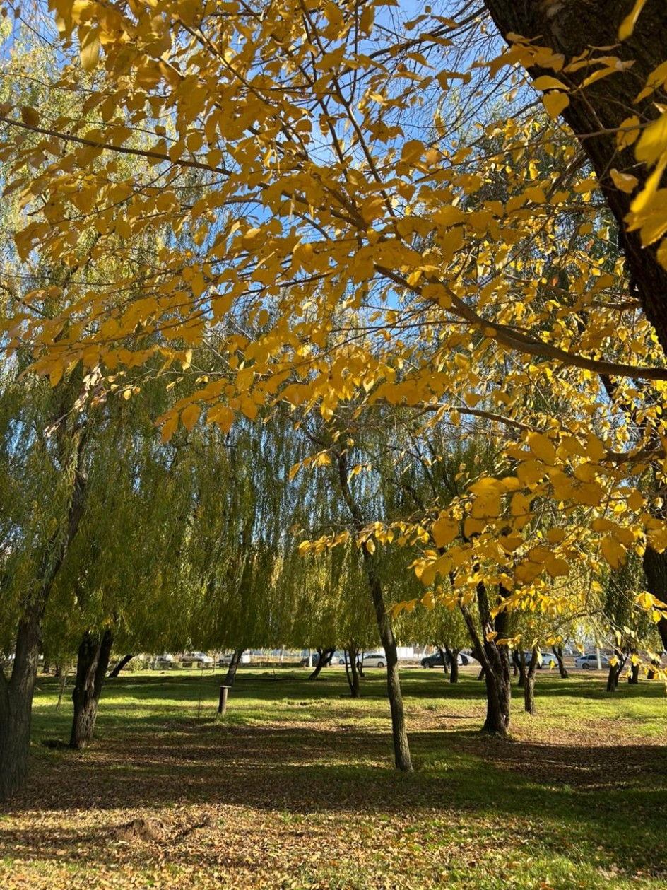 "Осень золотая ходит по дорожкам"