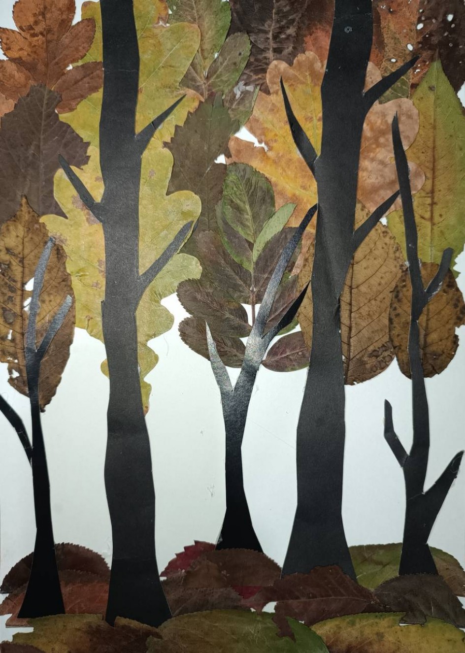 Осенний лес