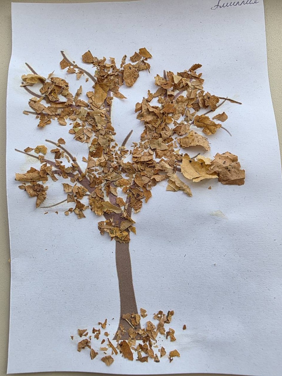 Осеннее дерево