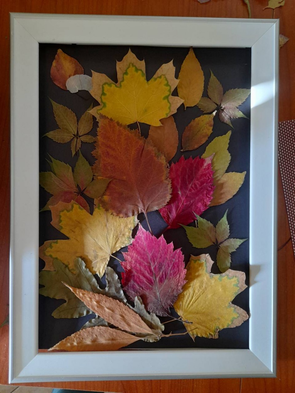 Осенний листопад