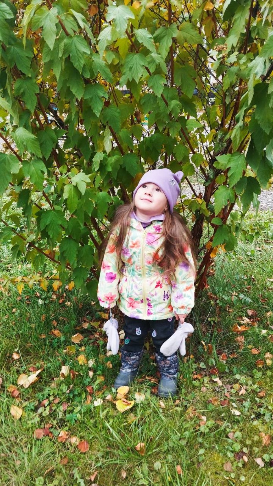 "Алиса и Осень"