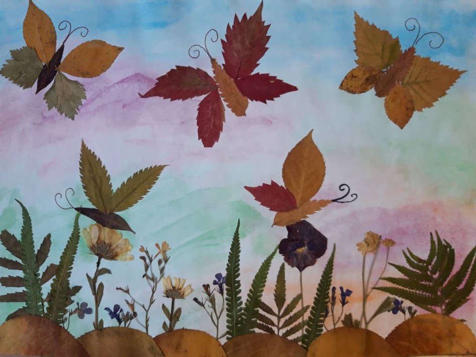 "Бабочки и стрекозы"