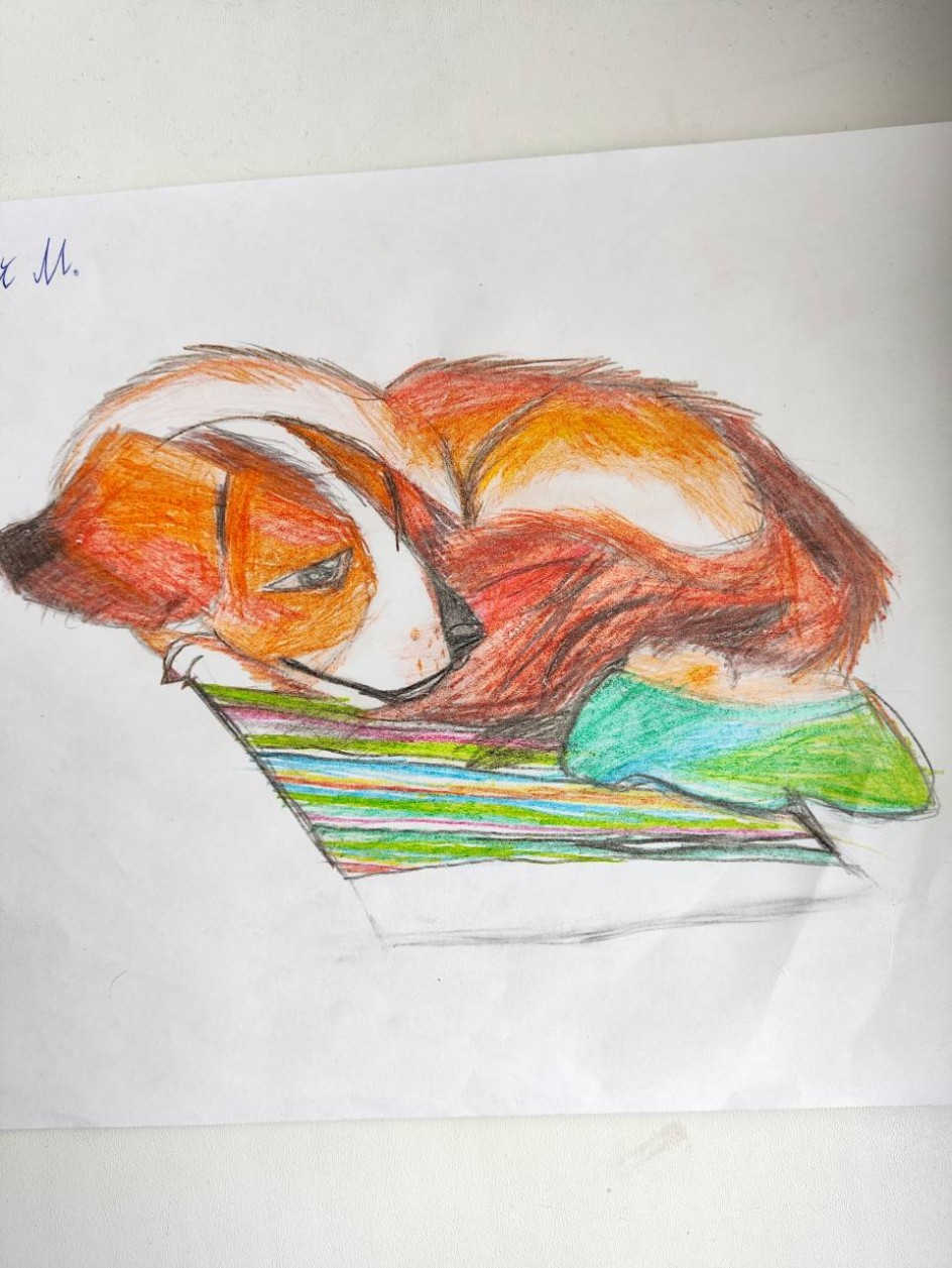 Спящий щенок