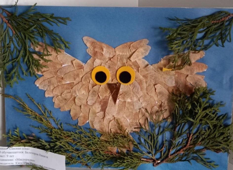 Лесная сова