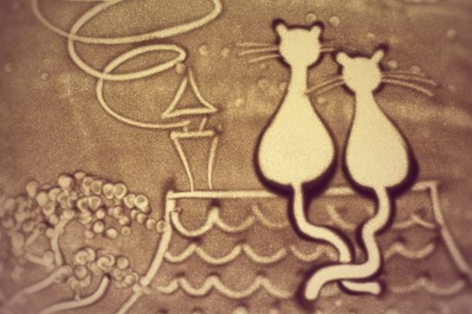 Мы видим мир одними глазами