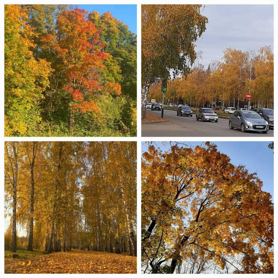 Пламя осени