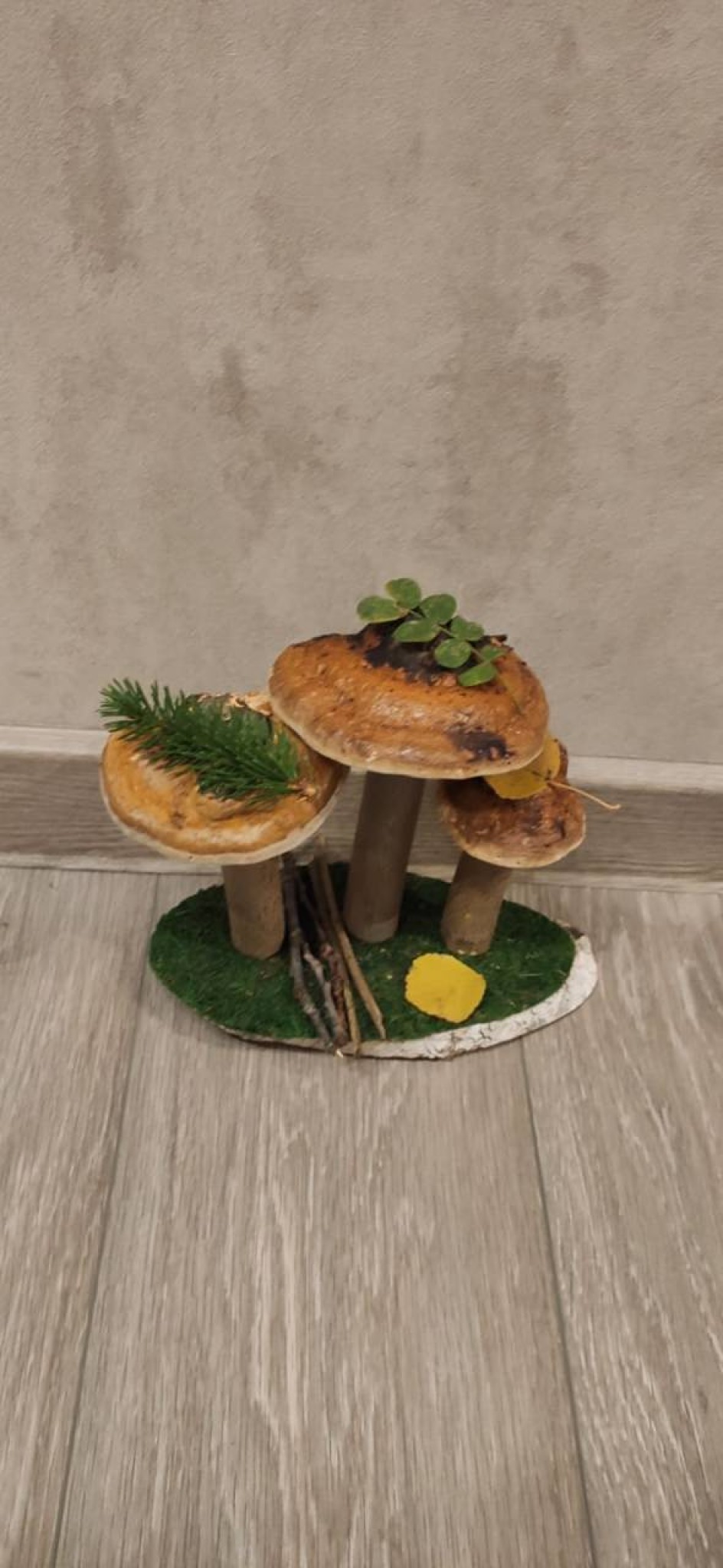 Грибы на поляне