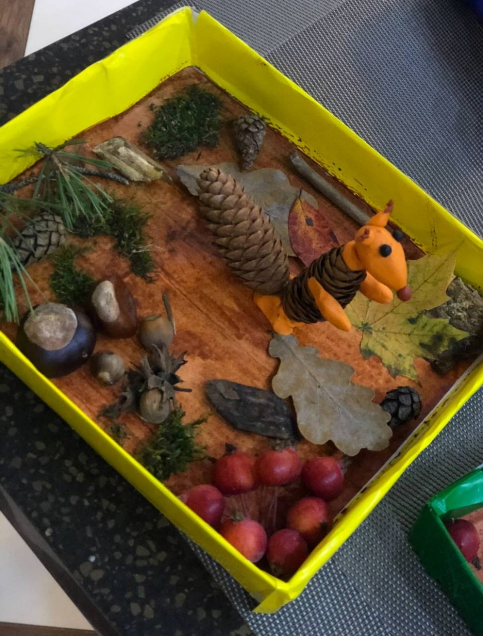 Белочка в лесу