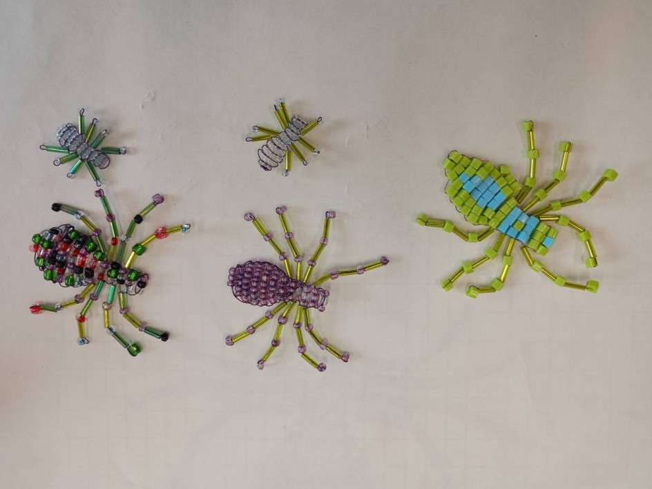 Моё семейство пауков.