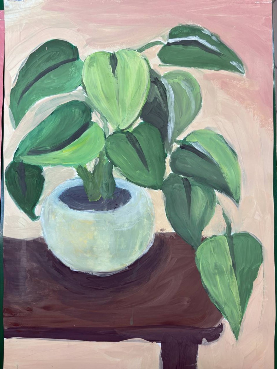 Домашнее растение