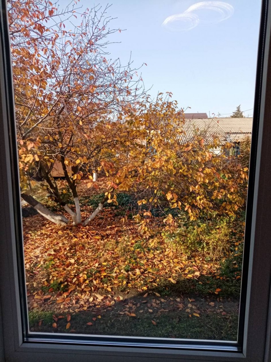 "Ко мне в окошко заглянула осень"