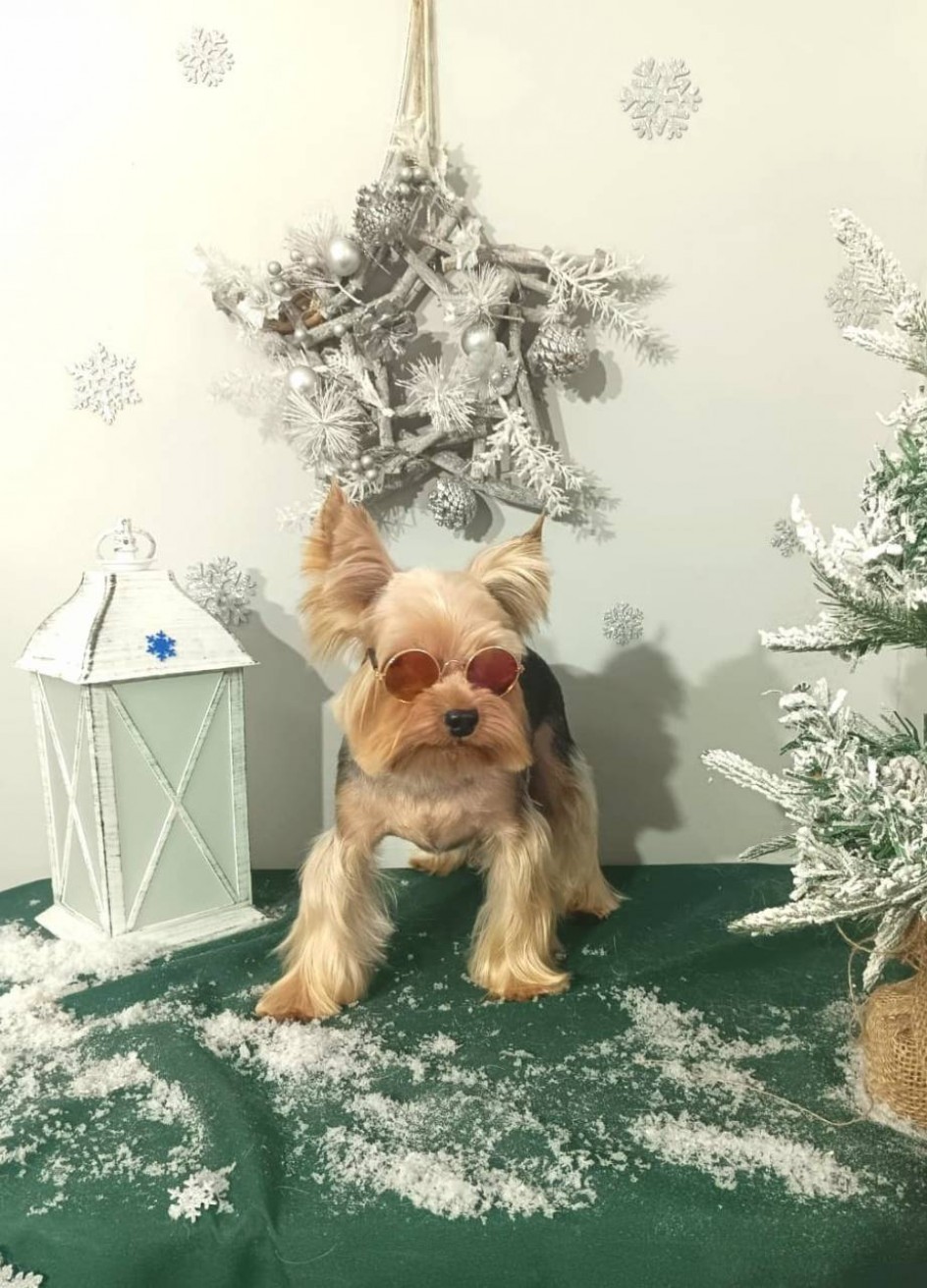 Брутальный Рикки