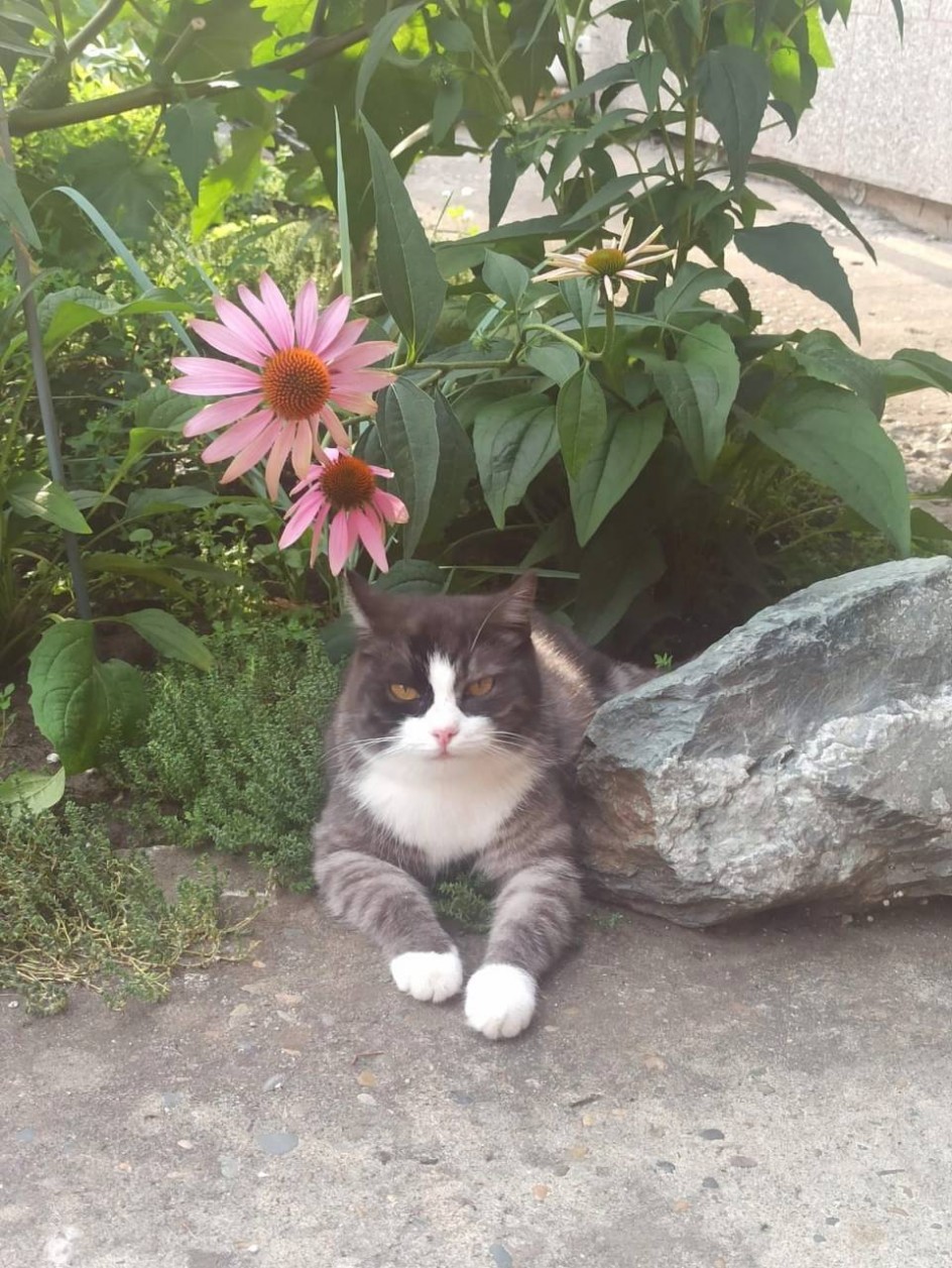 Я такая... вся такая! (Милка)