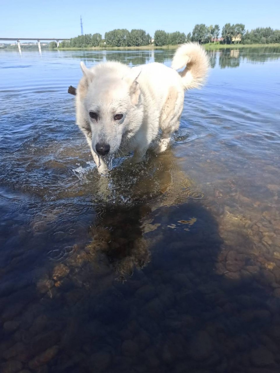 Блондинка Ева - любительница водных процедур