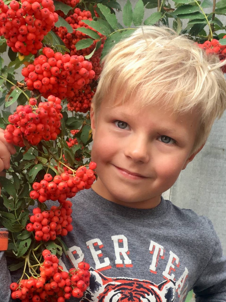 Краски осени