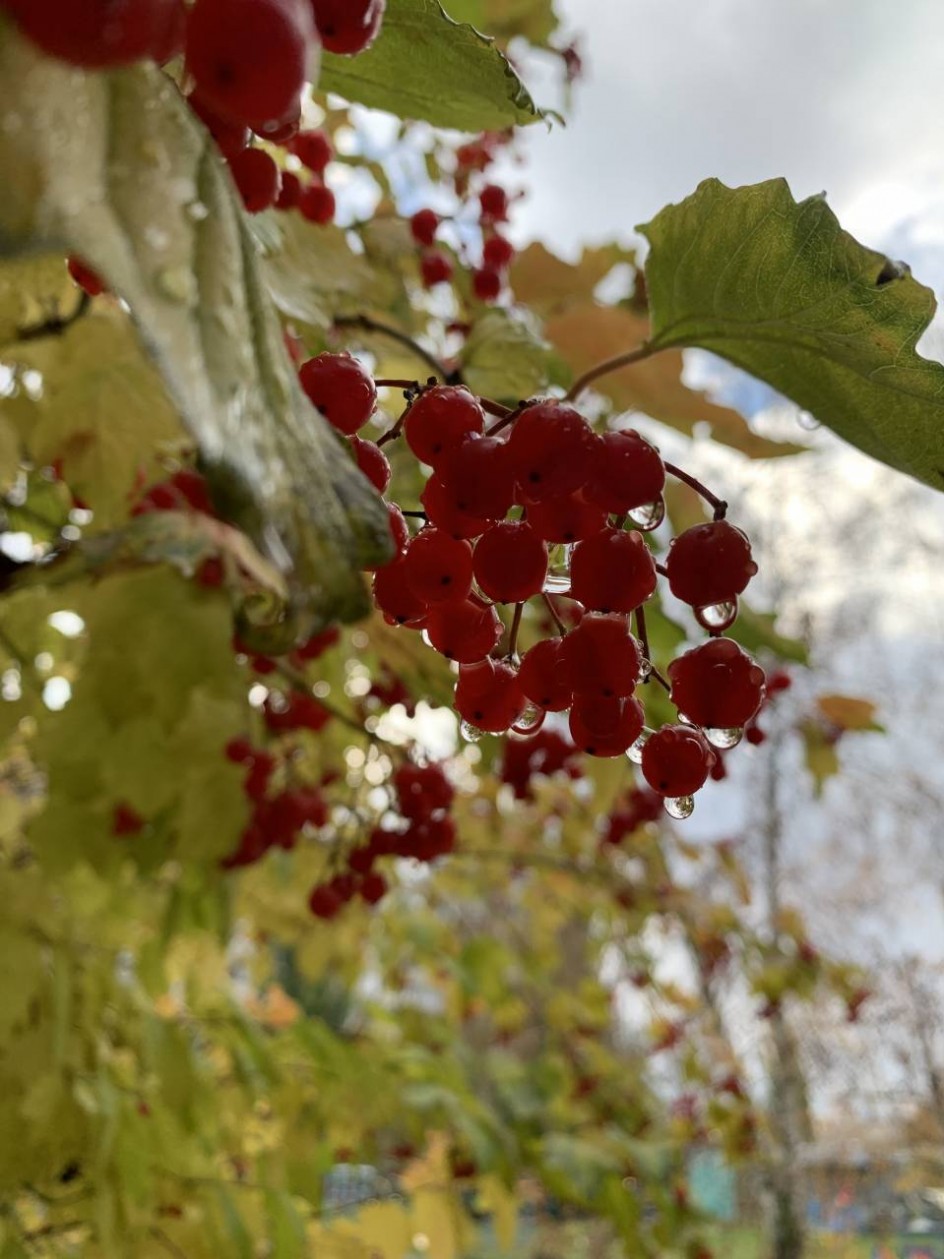 После дождя