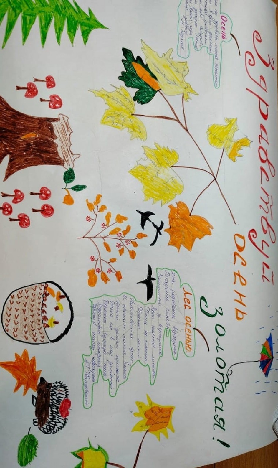 Здравствуйте осень золотая!