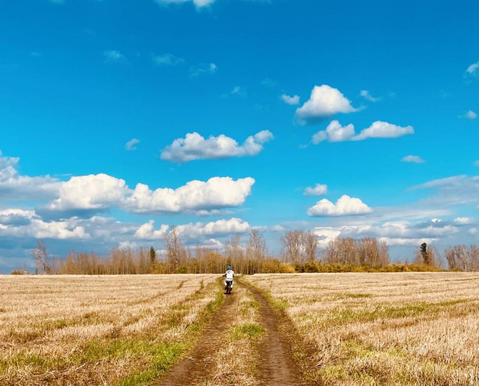 Лето- осень. Место встречи