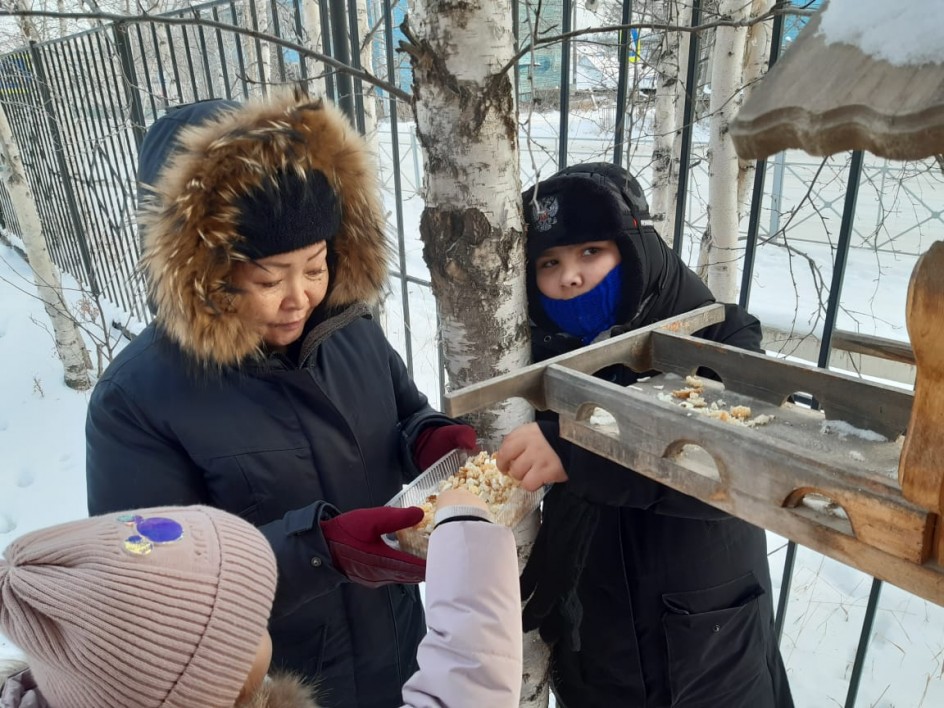 Покормите птиц зимой