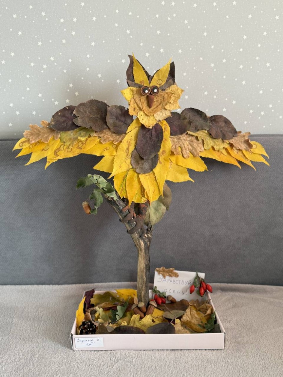 Сова в осеннем лесу