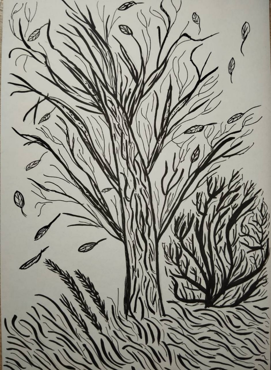 Осеннее дерево в ожидании зимы