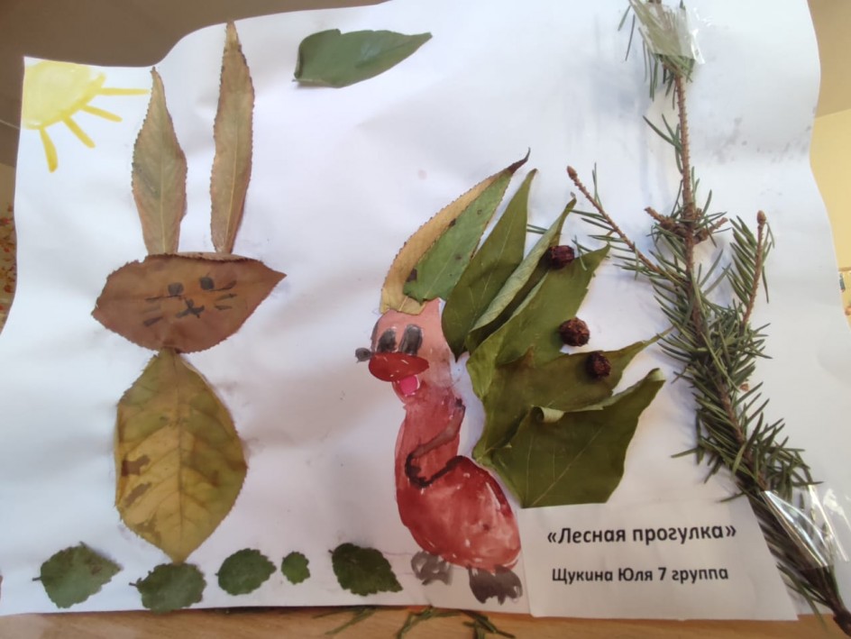 Лесная прогулка