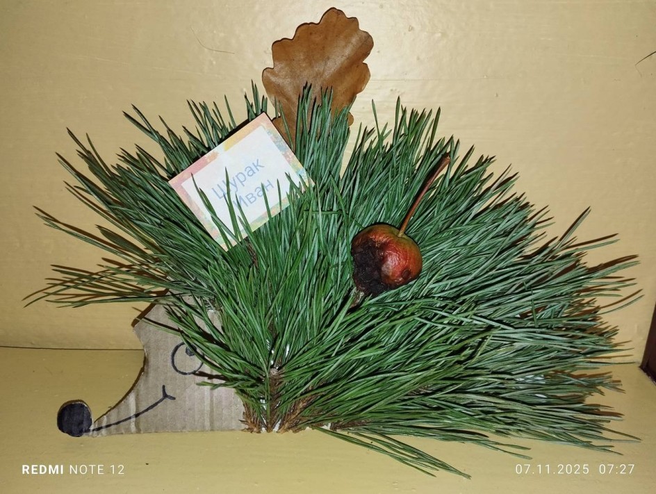 Поделка из природного материала "Осенний ежик"