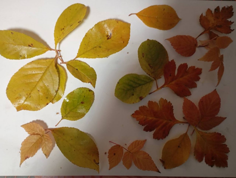 Осенний пейзаж