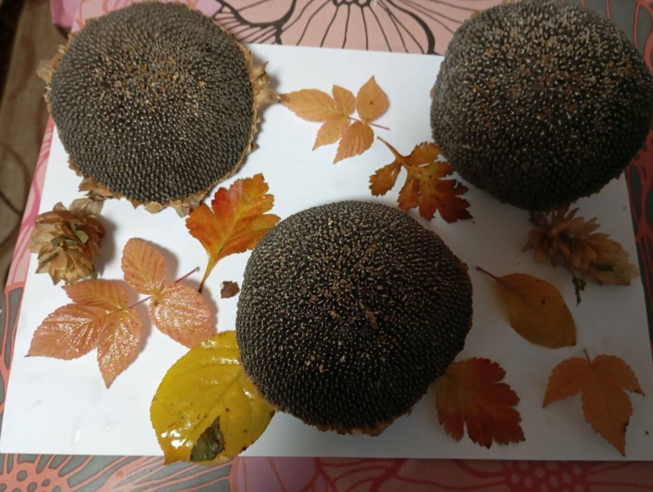 Осеннее панно