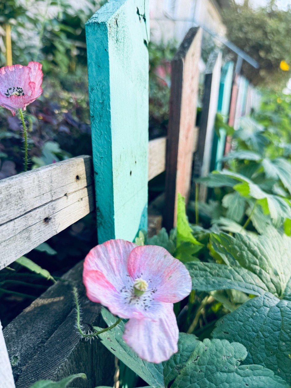 Осенняя красота