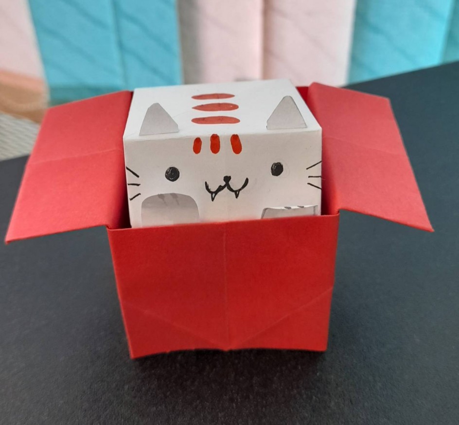 Котик с сюрпризом